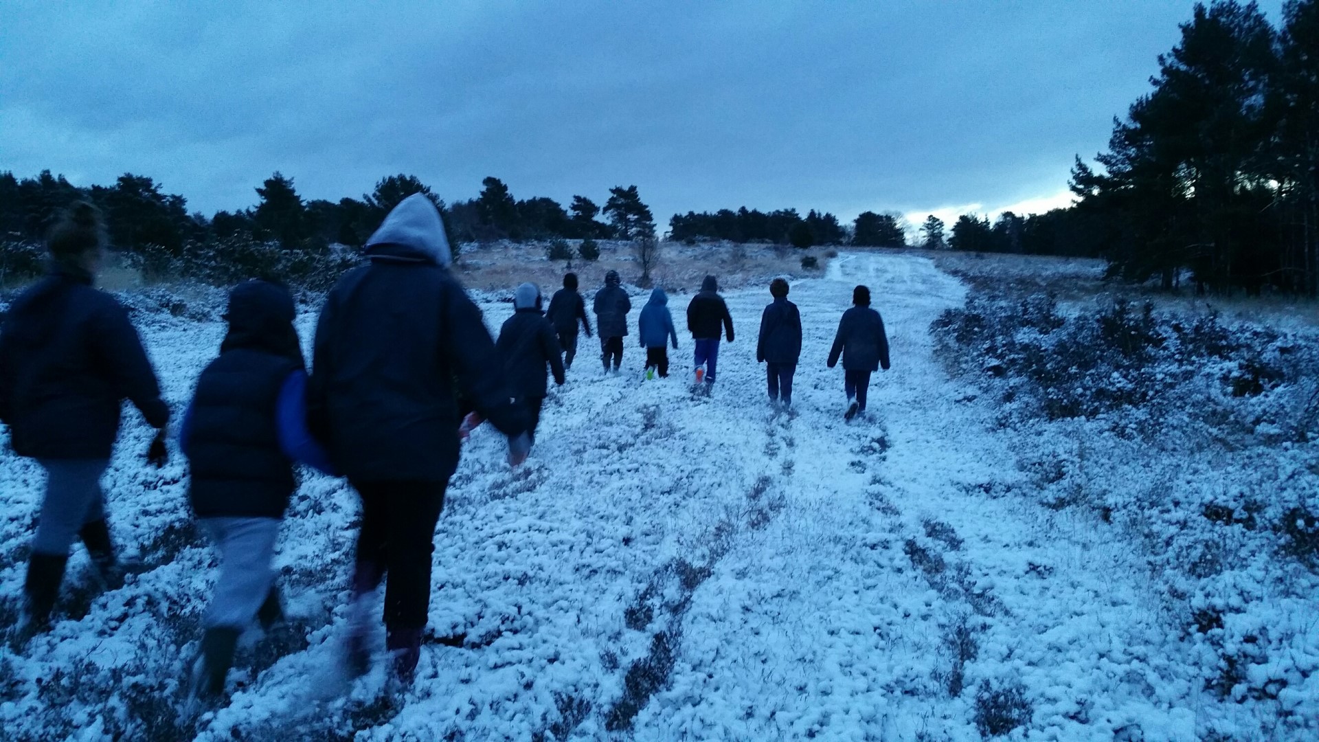 January 2015 Hindleap Warren